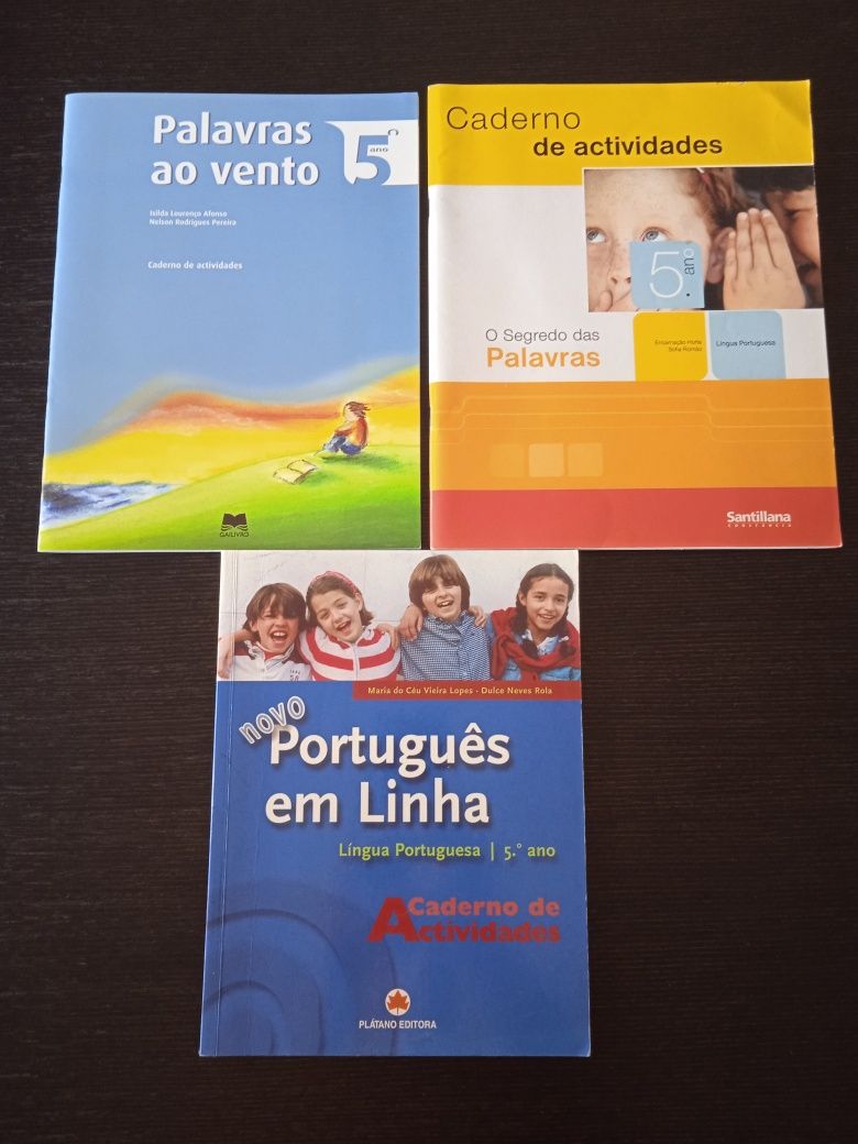 Cadernos de Atividades/Livros Fichas 5º Ano