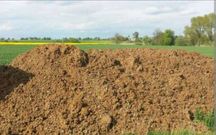 Wysłodki korzonki buraczane Pomiot Kurzy Wapno defekacyjne Żużel