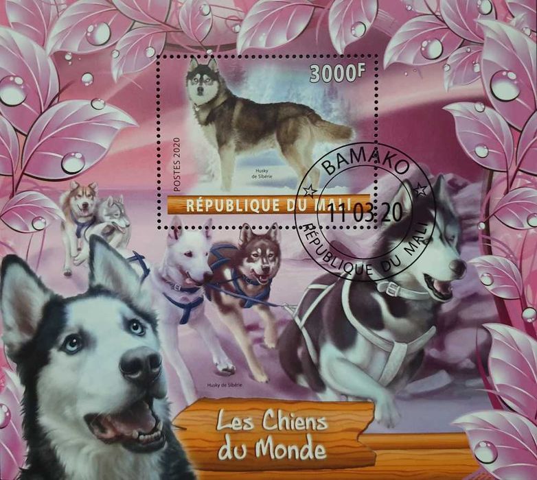 T.0285*B Blok Fauna PSY RASY ZIMNOLUBNE KYNOLOGIA - Filatelistyka