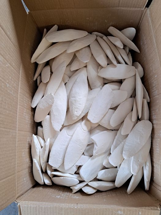 SEPIA NATURALNA 12-15cm,3zł/szt, 30szt za 90zł papuga,kanarek,ślimak