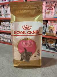 2 kg Royal Canin British Shorthair kitten