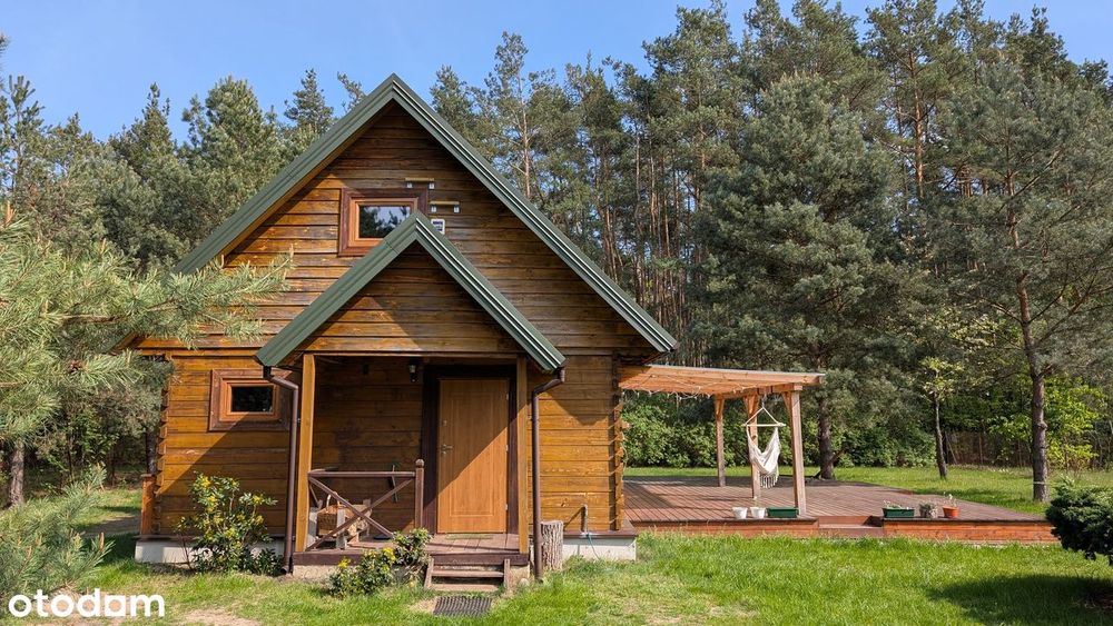 Całoroczny dom z bala nad rzeką z widokiem na las