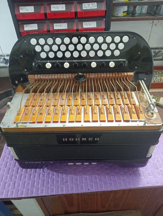Hohner Morino V tonalidade Do Fa