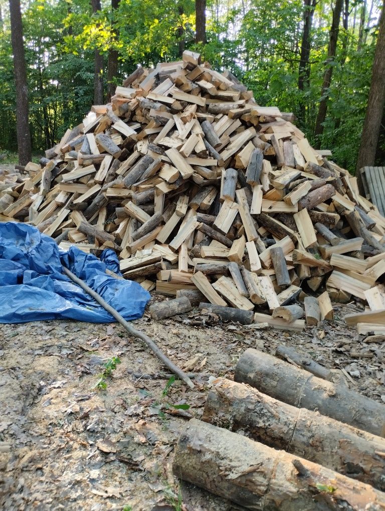 Плотная укладка Машина дров С доставкою Сосна Дуб Граб Рубані дрова