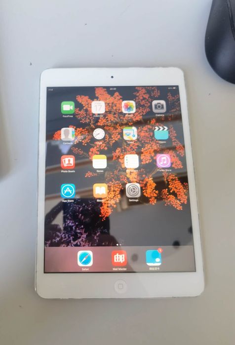 iPad mini 1 16GB WIfi