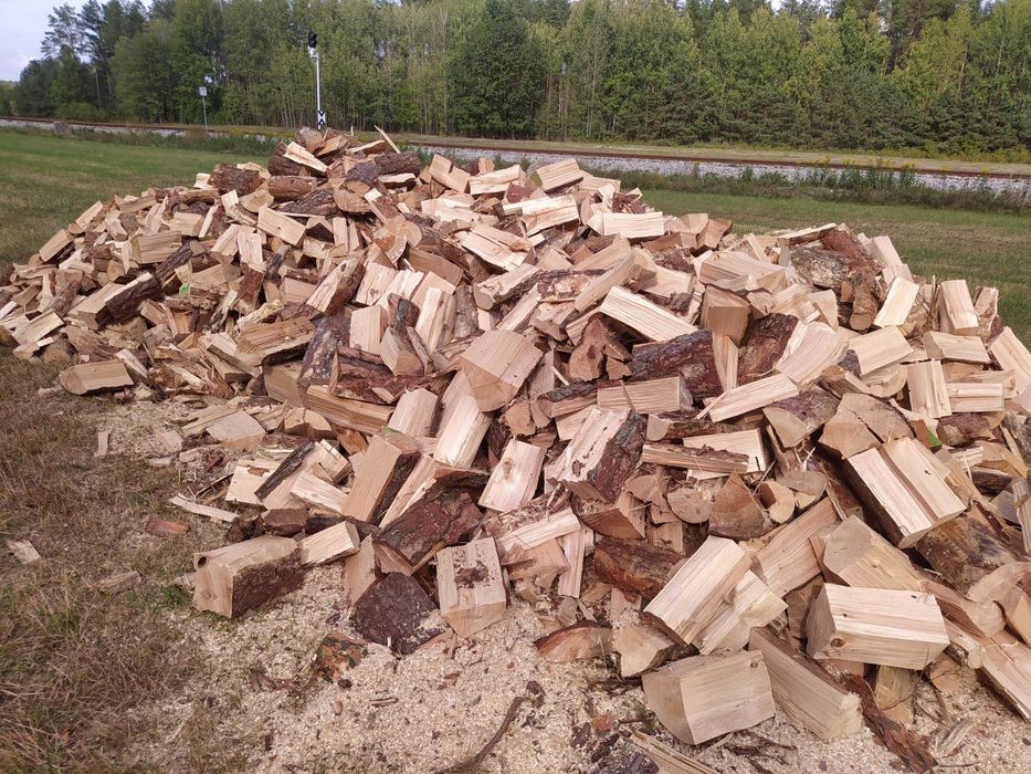 Olcha, Brzoza, Dąb, Buk, Grab kominkowy