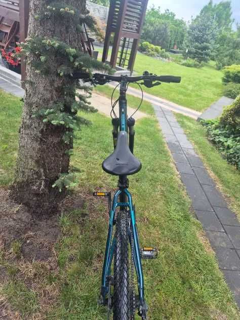 Rower Kross Evado 5.0 Damski Rama M