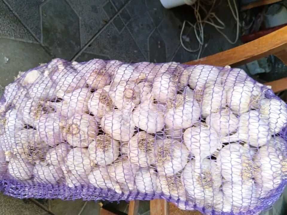 Живописна осіння журавлина