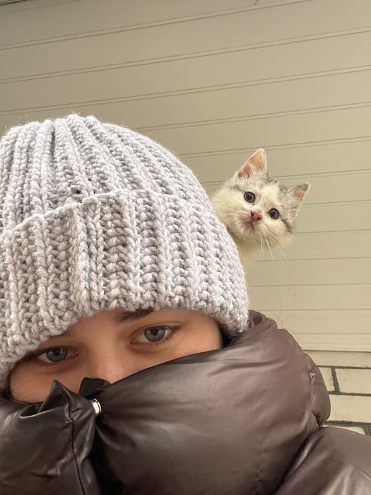 Віддам кошеня в хороші руки