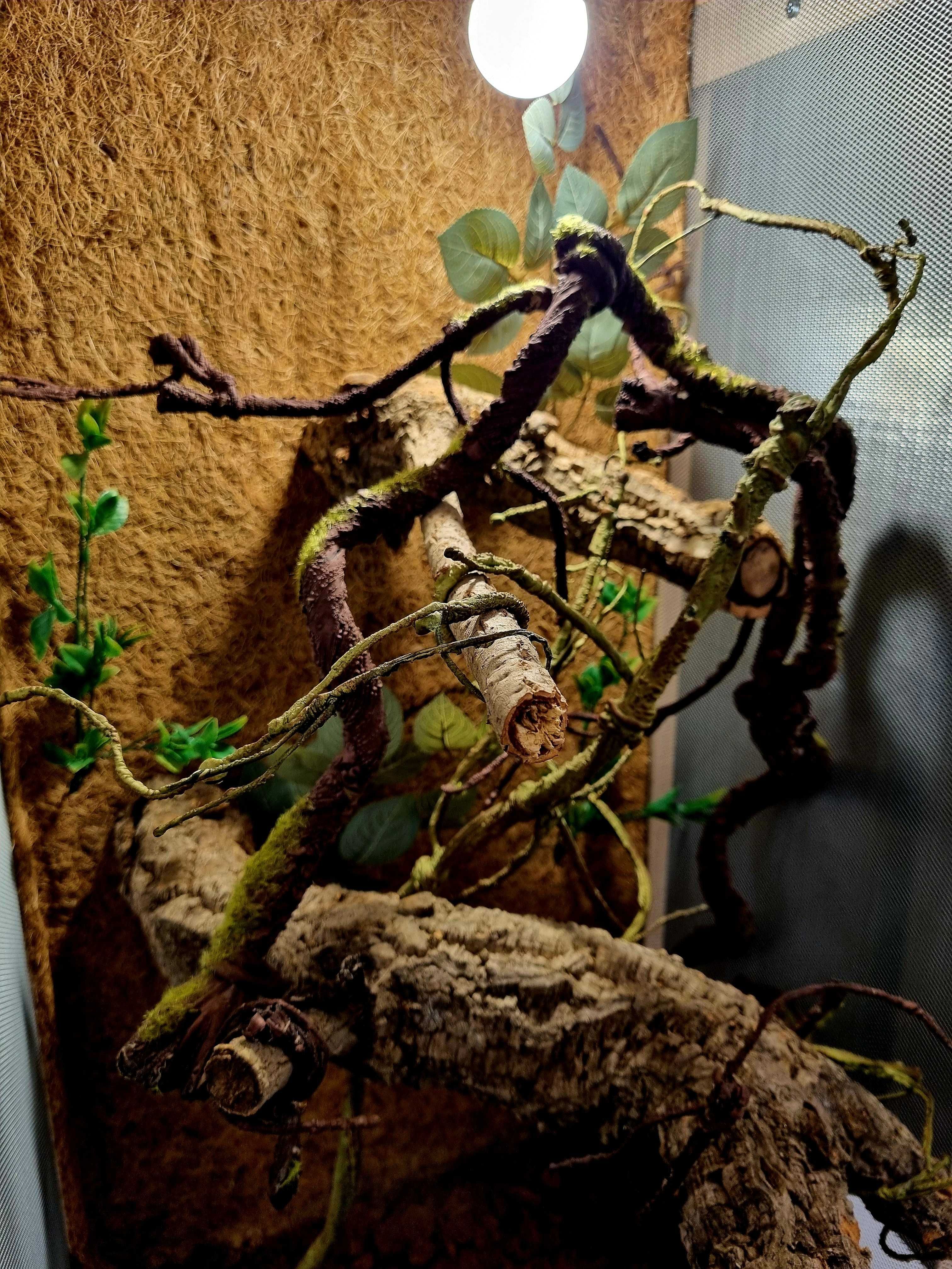 Terrarium 50x50x100 dla kameleona