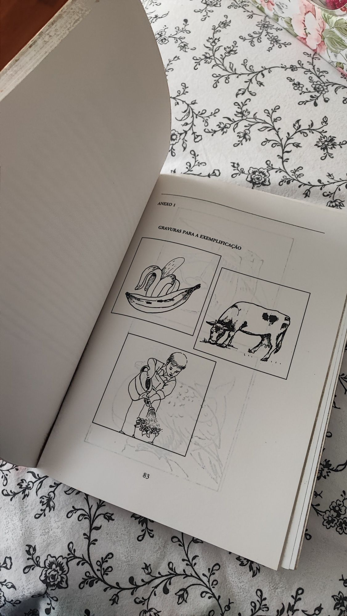 Livro " Avaliação da linguagem oral"