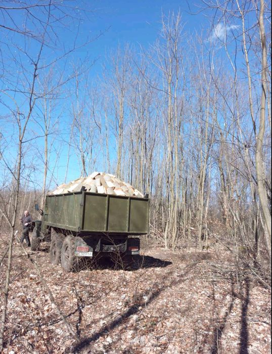Продаю дрова твердих і м'яких порід