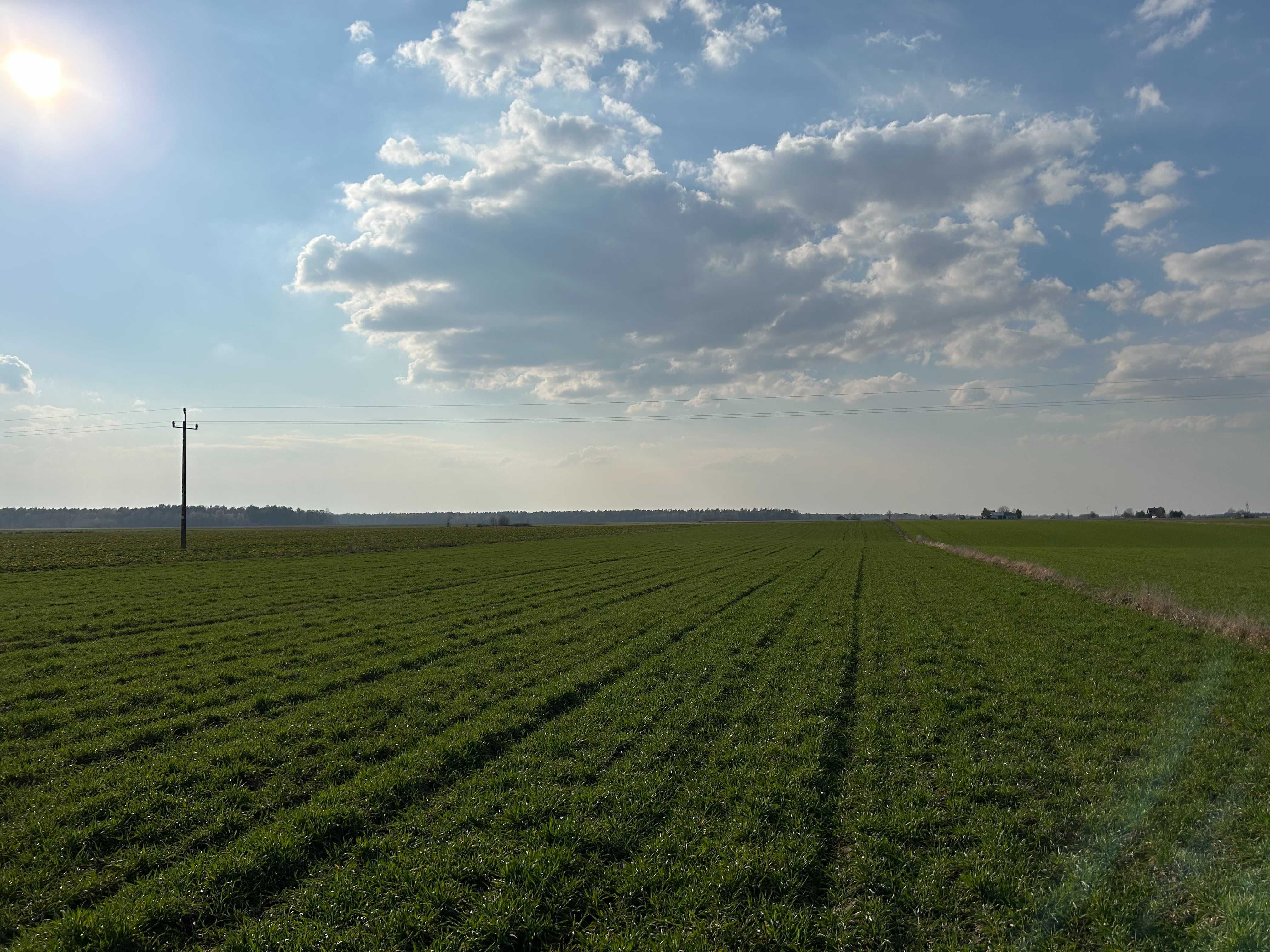 Działka budowlana pod Łukowem 1500 m2, media i droga asfaltowa