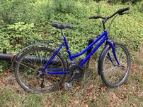 Rower GTX All Terrain 19” – do naprawy / na części – Płock Podolszyce