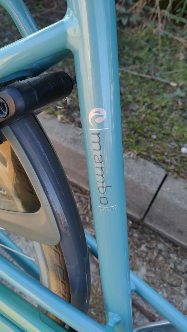 Batavus Mambo Inspire Like gazelle koga