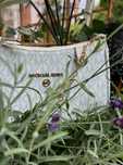 Torebka Michael Kors