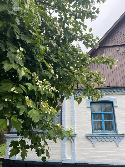 Будинок с. Романівка, Романівський рн, Чуднівський р-н