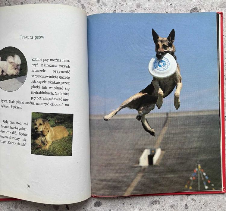 Psy Dziecięca Biblioteka Przyrody Album ilustrowany