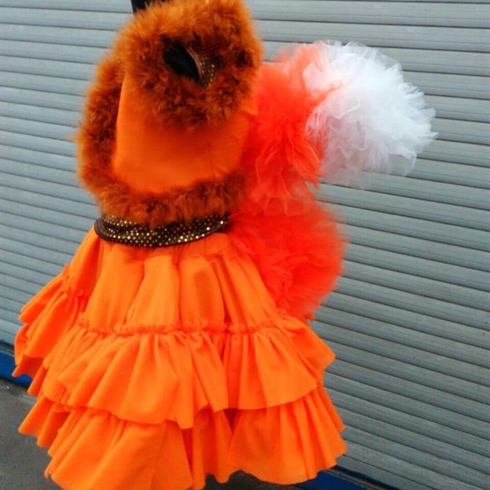 Костюм белочки/лисички на прокат.