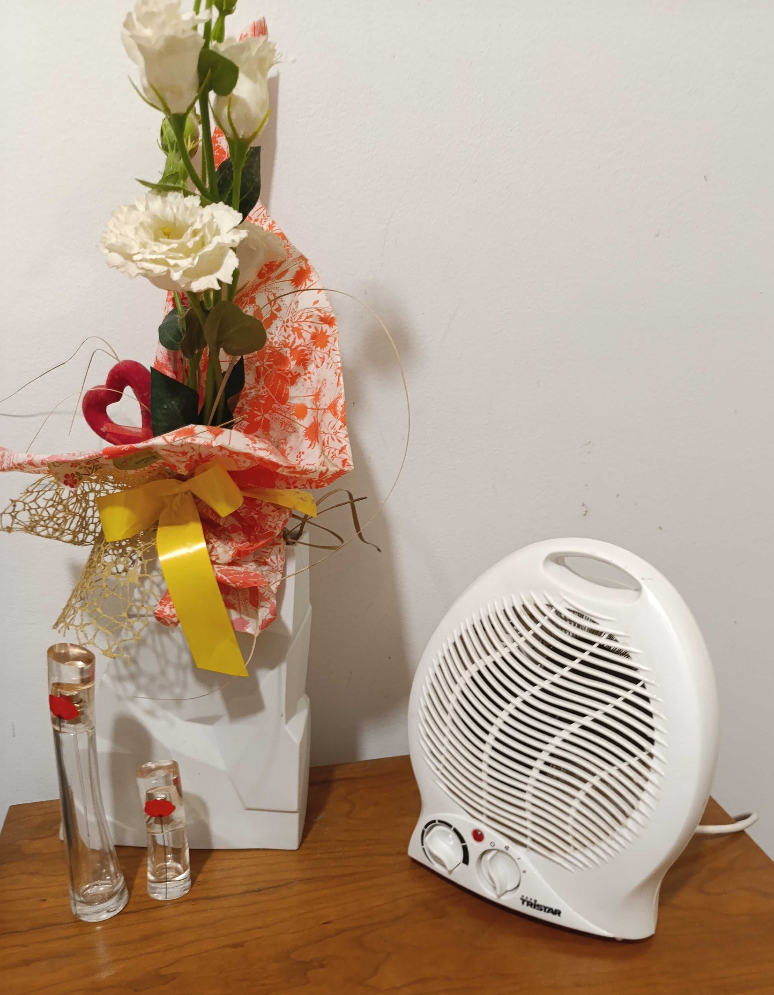 Ventilador 3 configurações: vento frio, morno e quente  Potencia 2000W