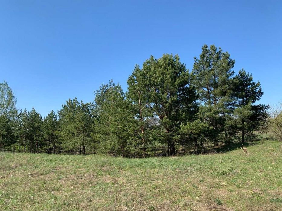 Земля під базу від починку біля озера в Лісовичах! Комунікації поруч