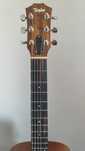 Taylor Gs-Mini Mahogany