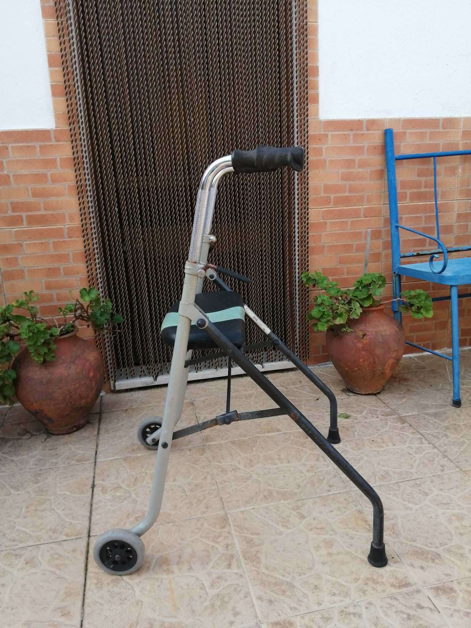 Andarilho com assento