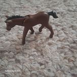 Konik który porusza mu się głowa