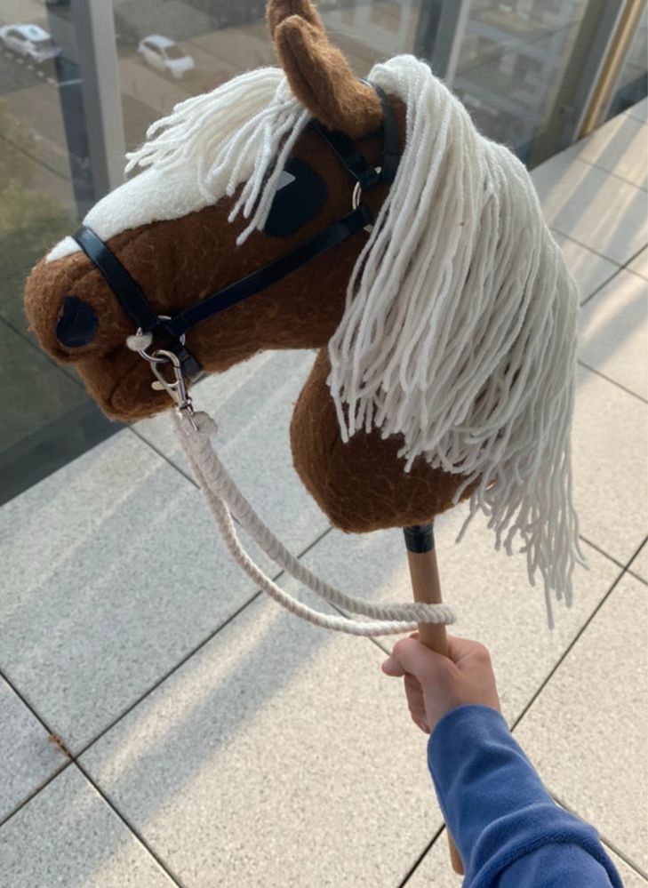 hobby horse konik
