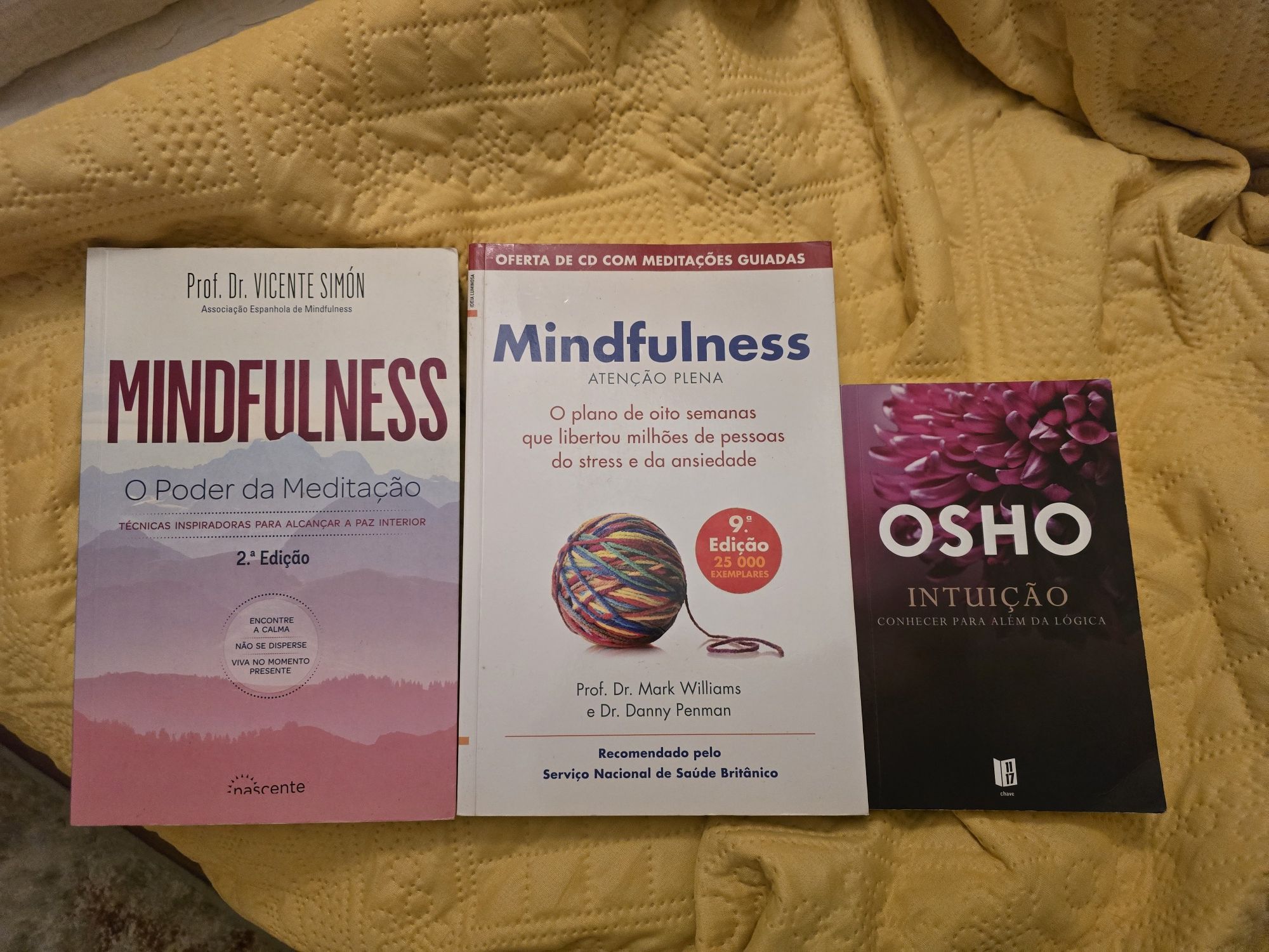 Livros espiritualidade / desenvolvimento pessoal
