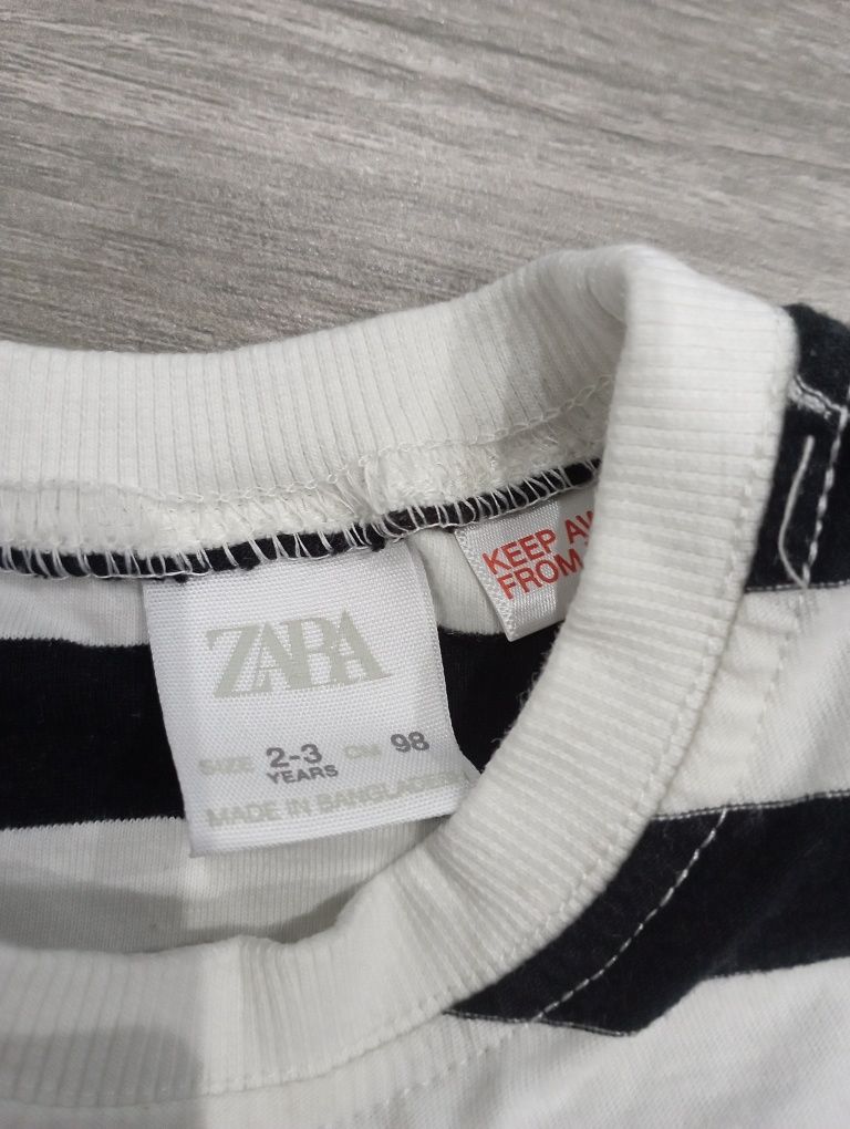 Koszula t-shirt Basic Zara 98 paski