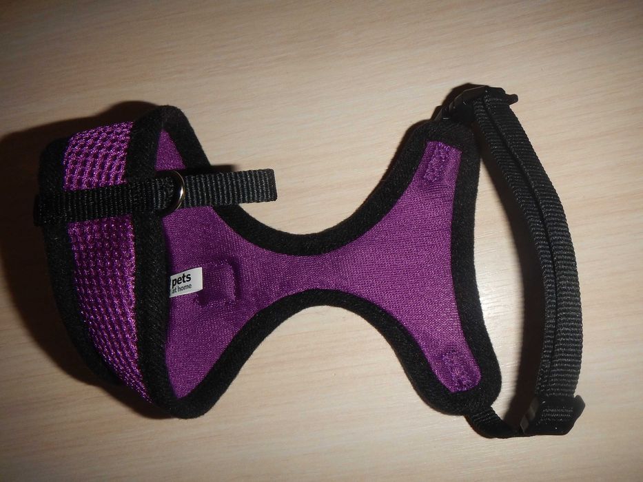Шлея для кота pets