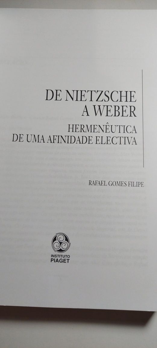 De Nietzsche a Weber, Hermenêutica de uma Afinidade Electiva