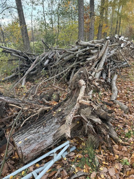 Drzewo na opał okolo 10m3