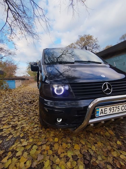 Вито в хорошем состоянии