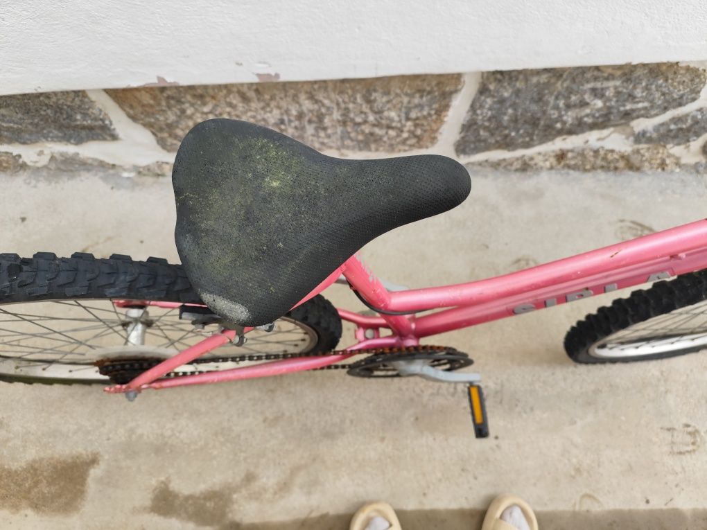 Bicicleta de adulto