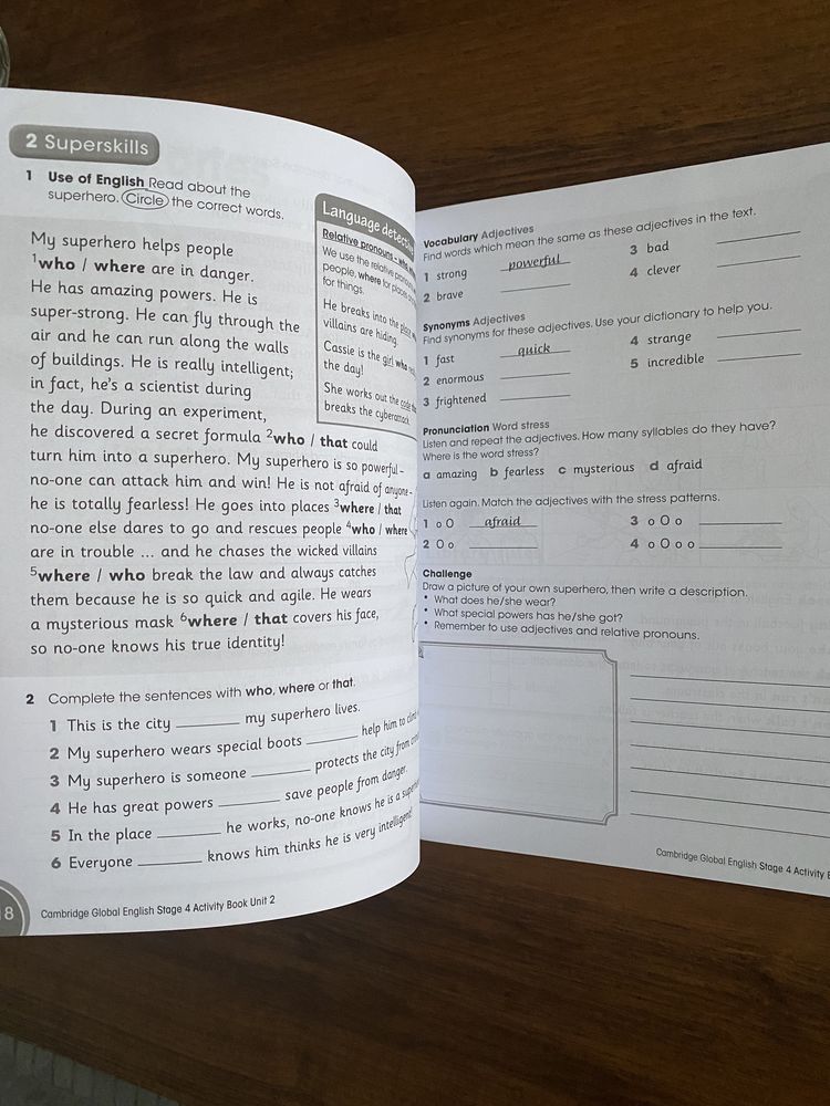 Cambridge Global English - Activity Book 4