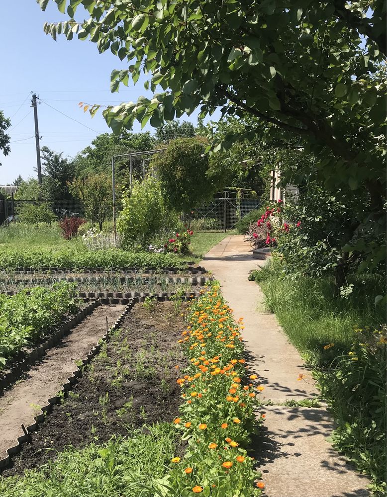 Продам дом дачу в Новомосковске