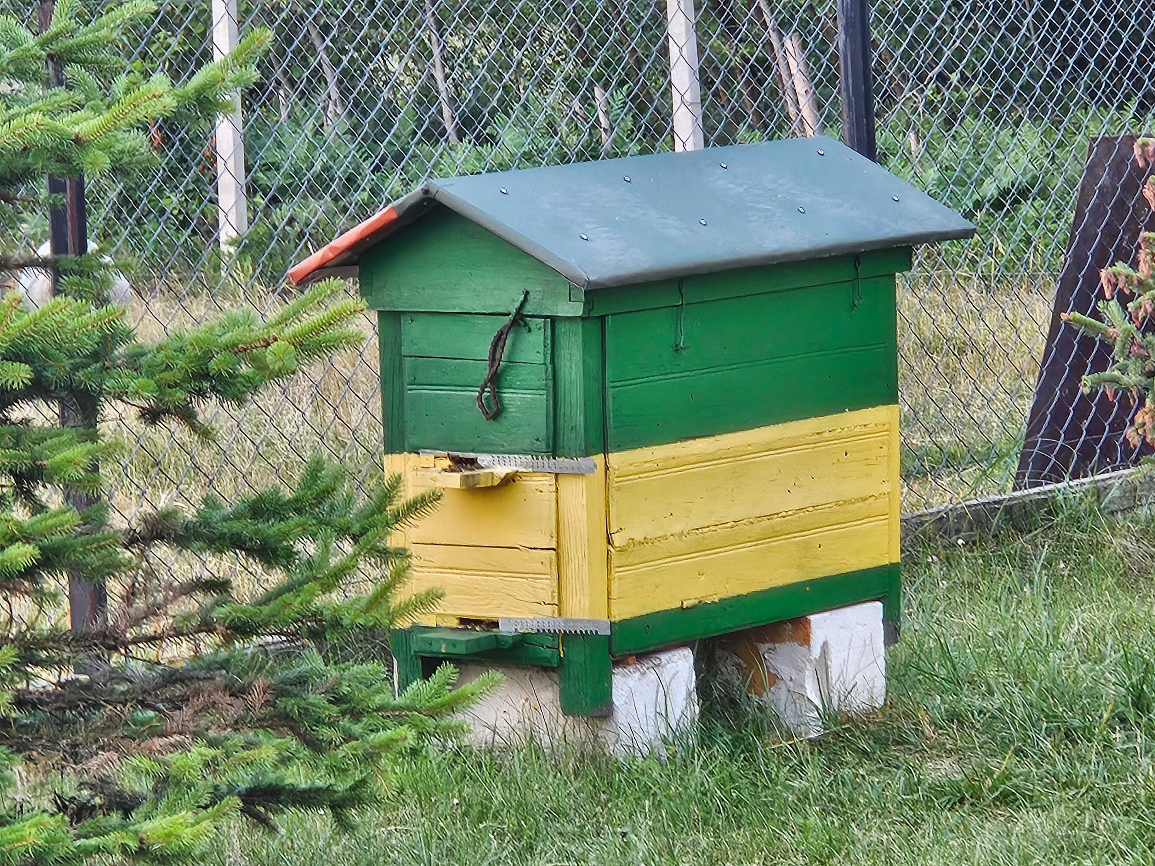 Sprzedam odklady, rodziny, ule warszawskie zwykłe. Trzy sztuki.