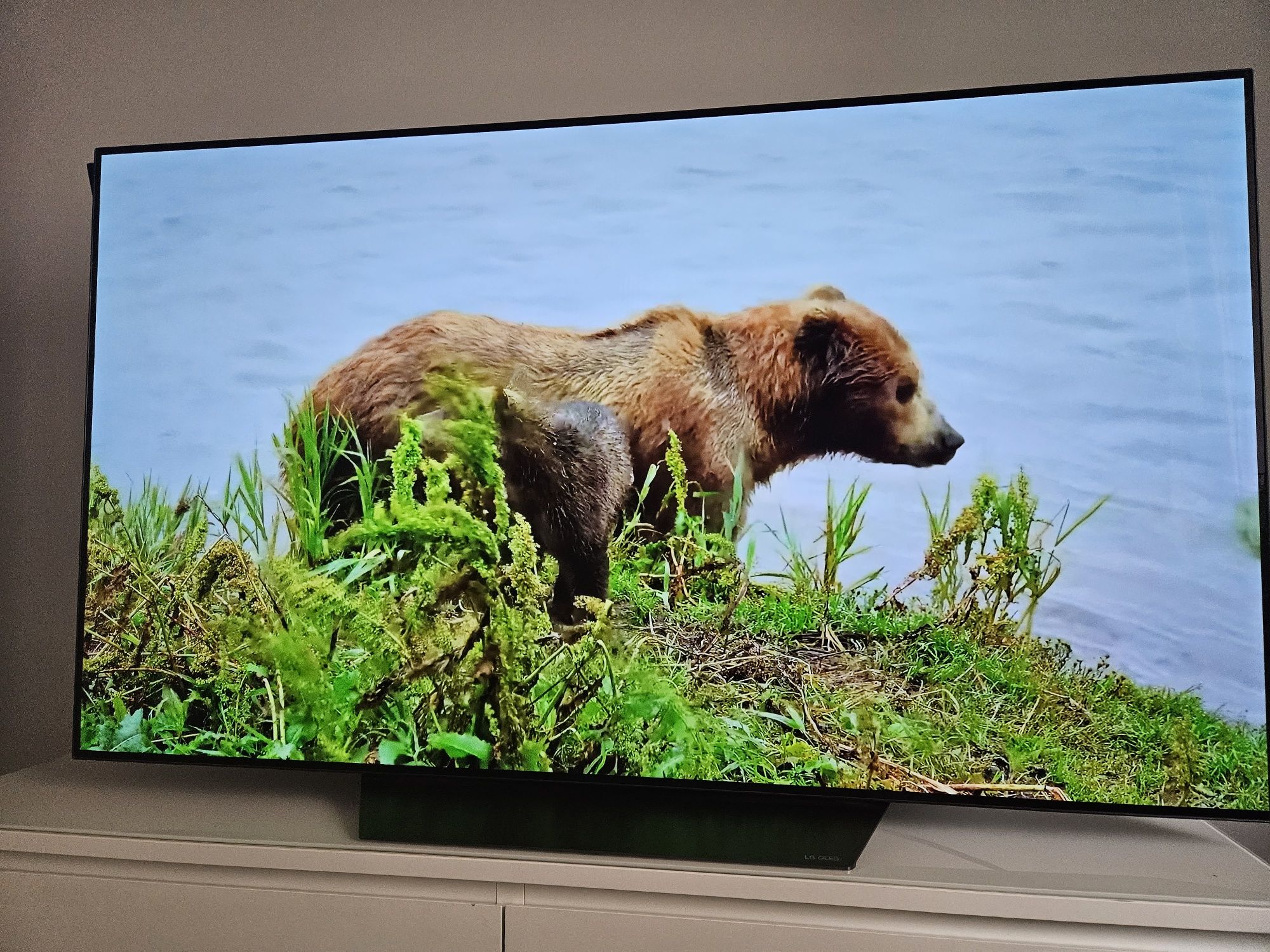 Lg 55 oled c9 4k 120hz YouTube Netflix czern idealna