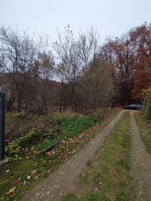 Ділянка Дача Дем'янів Лаз