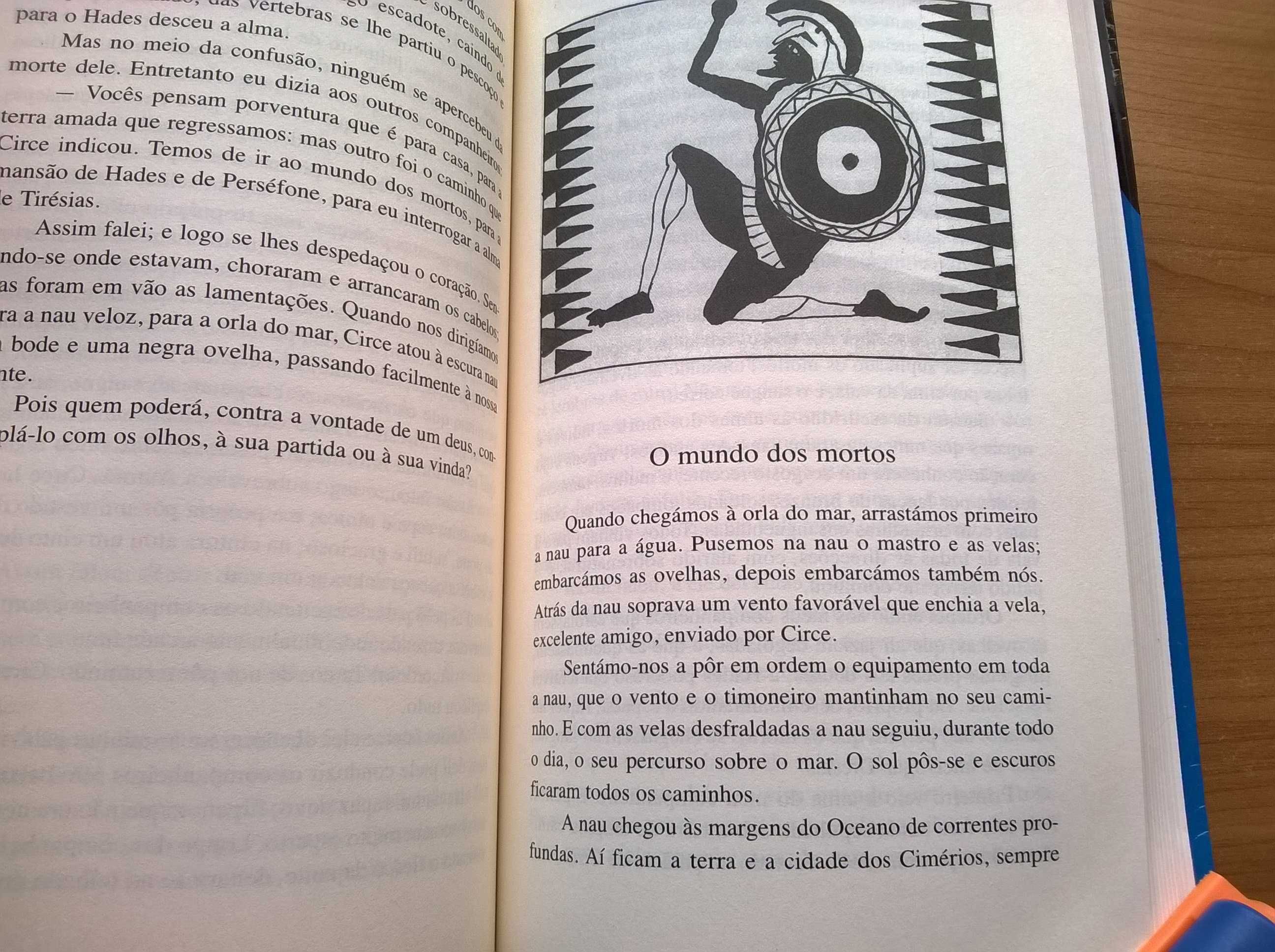 Odisseia (em prosa) de Homero - Adapt. por Frederico Lourenço