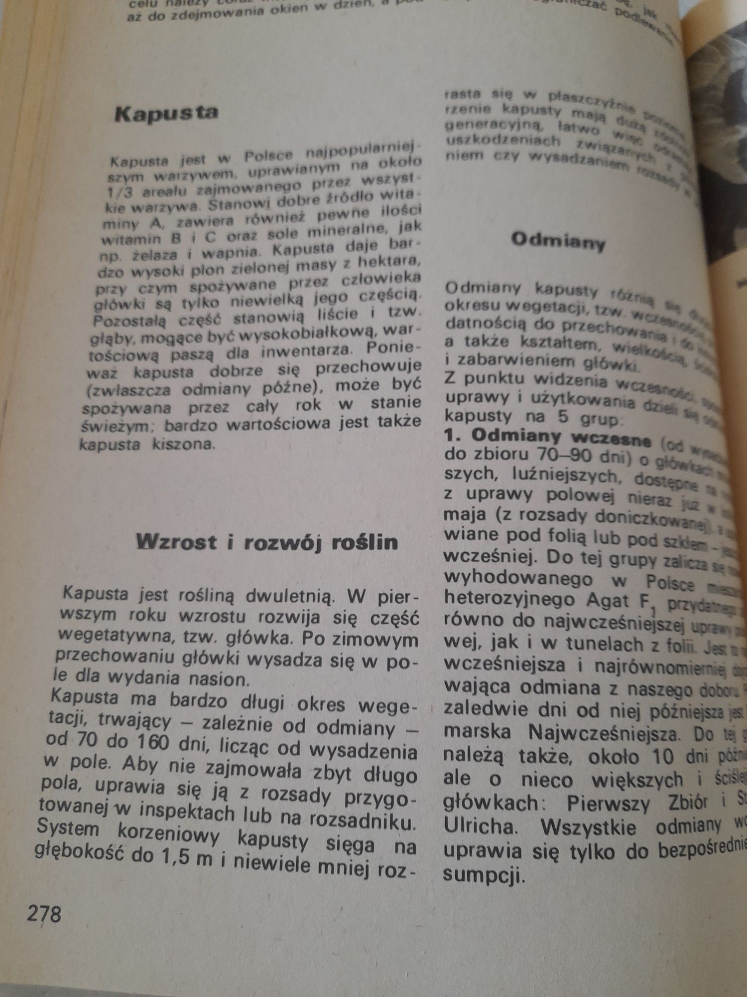 Nowoczesna uprawa roślin 1981 r