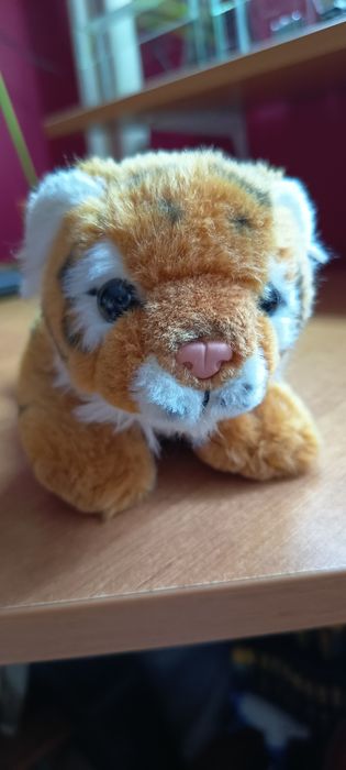 Mała maskotka tygryska