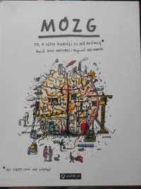 Książka "MÓZG to o czym dorośli nie mówią"