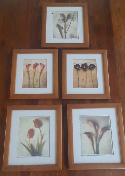 Quadros motivos flores 5