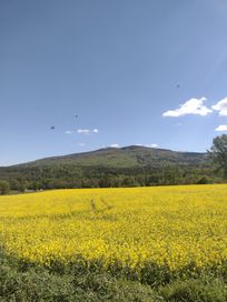 DZIAŁKA 5.400m2 Śliczna-Jedyna Pod ŚLĘŻĄ !!