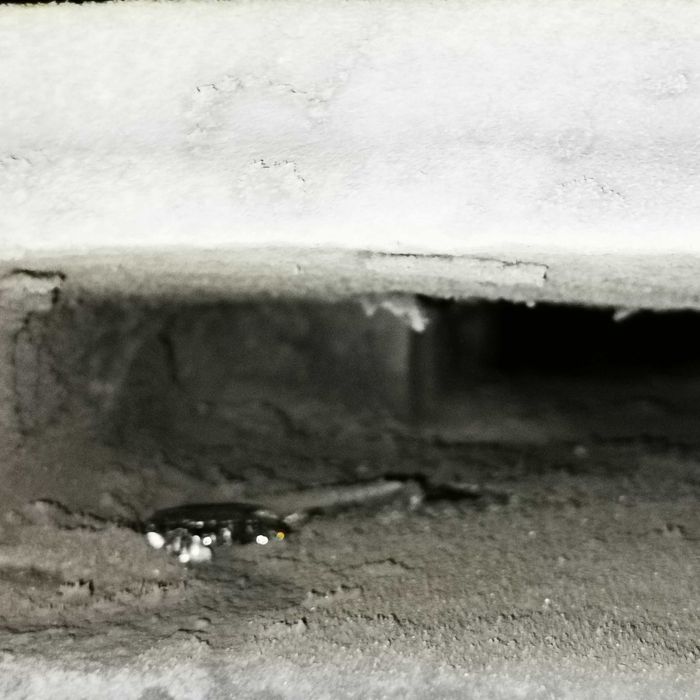 Naprawa cieknącego kotła węglowego. Uszczelniacz. Bielsko Biała