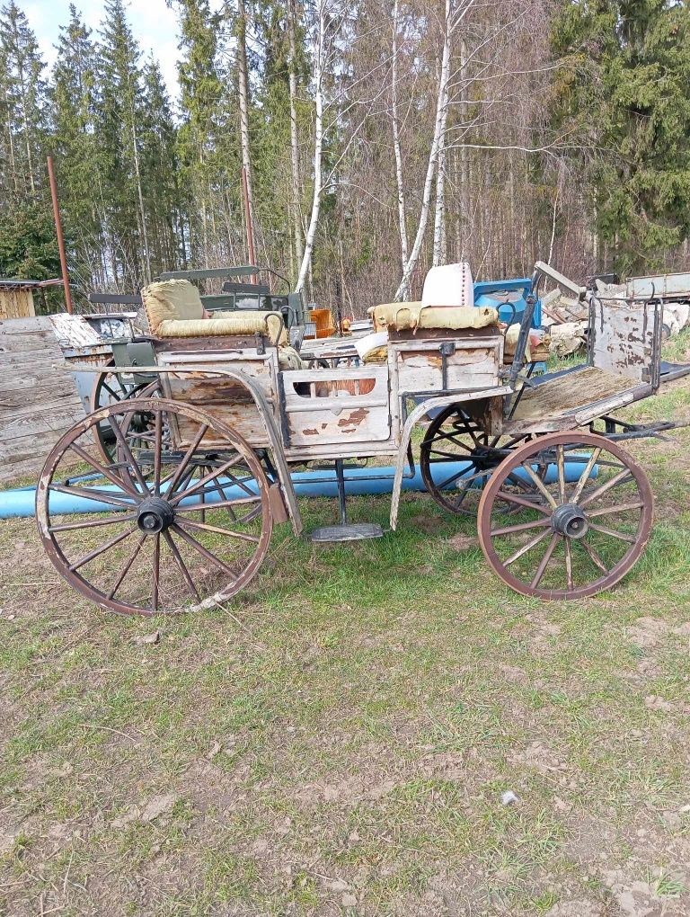 Bryczki powóz konny