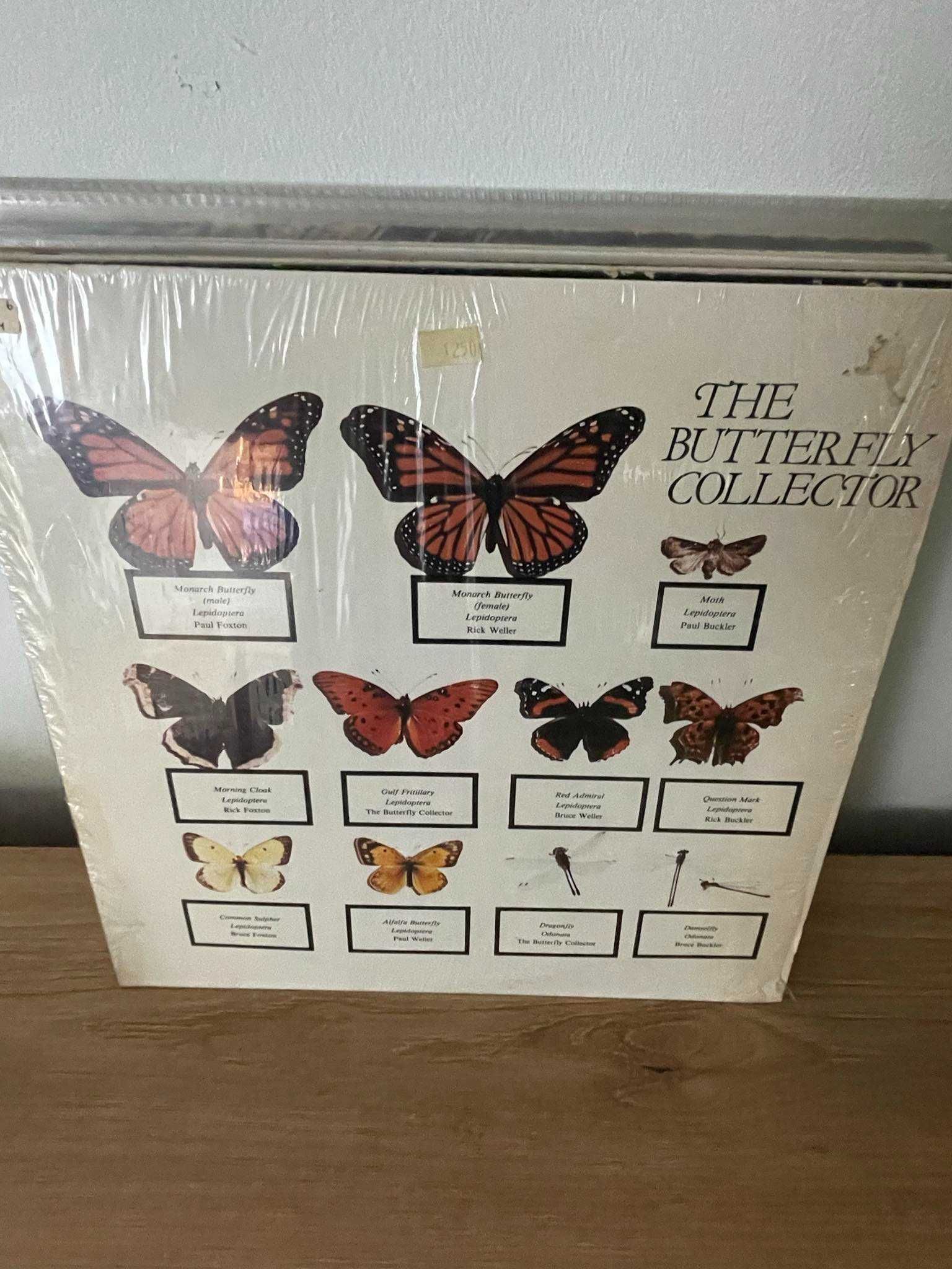 The Jam – The Butterfly Collector